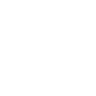 Airport Icon